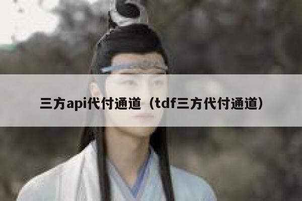 三方api代付通道（tdf三方代付通道） 第1张