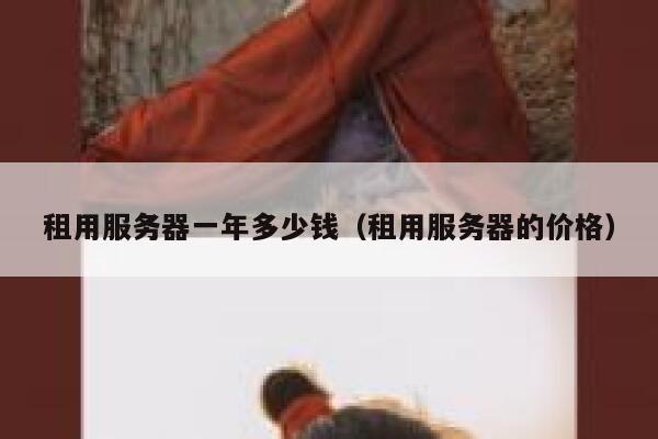 租用服务器一年多少钱（租用服务器的价格） 第1张
