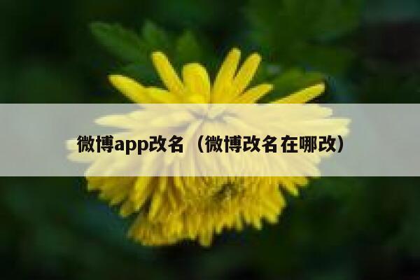 微博app改名（微博改名在哪改） 第1张