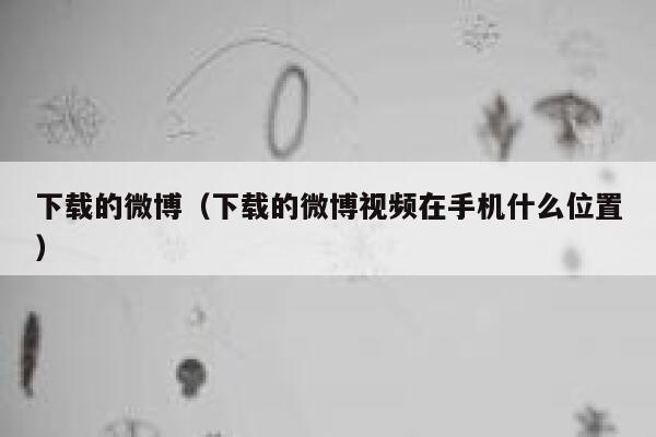下载的微博（下载的微博视频在手机什么位置） 第1张
