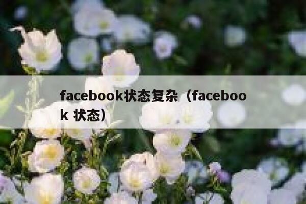 facebook状态复杂（facebook 状态） 第1张