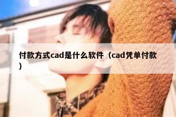 付款方式cad是什么软件（cad凭单付款） 第1张