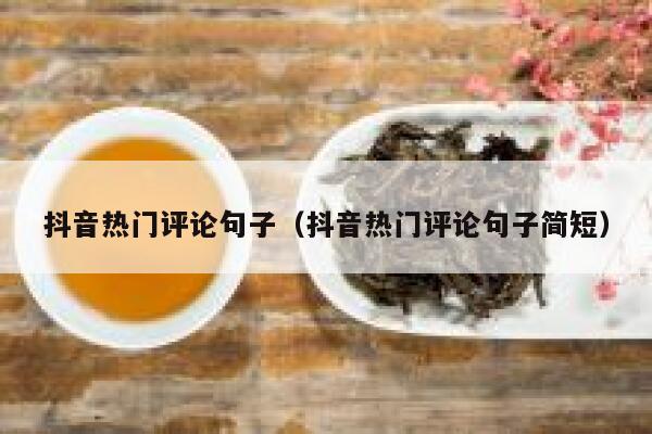 抖音热门评论句子（抖音热门评论句子简短） 第1张