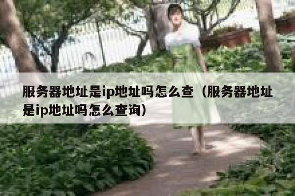 服务器地址是ip地址吗怎么查（服务器地址是ip地址吗怎么查询） 第1张