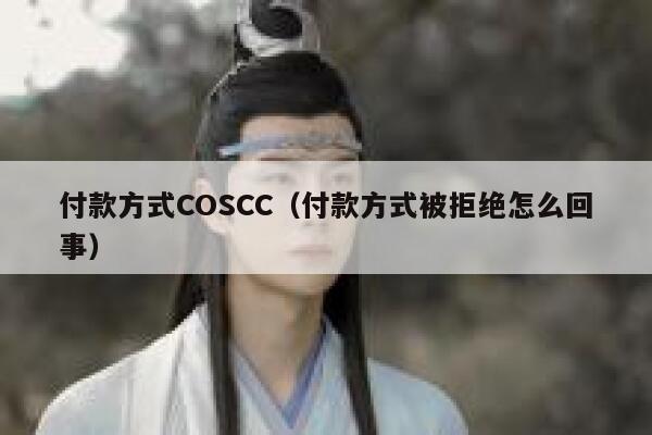 付款方式COSCC（付款方式被拒绝怎么回事） 第1张