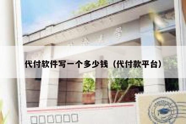 代付软件写一个多少钱（代付款平台） 第1张