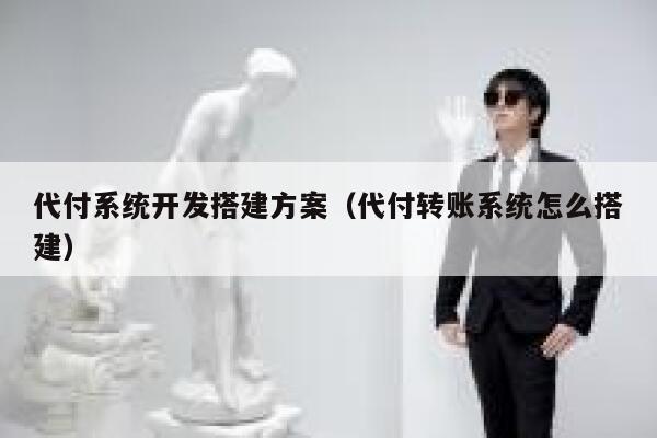 代付系统开发搭建方案（代付转账系统怎么搭建） 第1张