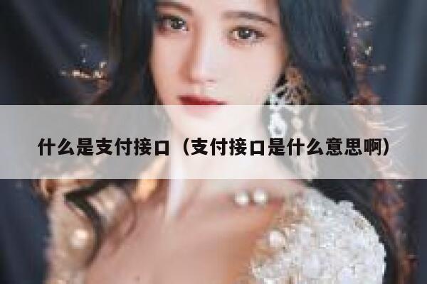 什么是支付接口（支付接口是什么意思啊） 第1张