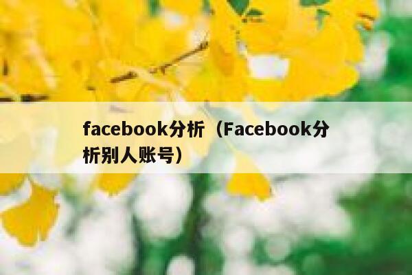 facebook分析（Facebook分析别人账号） 第1张