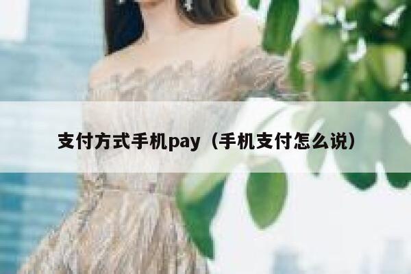 支付方式手机pay（手机支付怎么说） 第1张