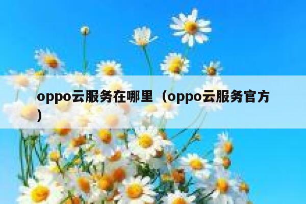 oppo云服务在哪里（oppo云服务官方） 第1张
