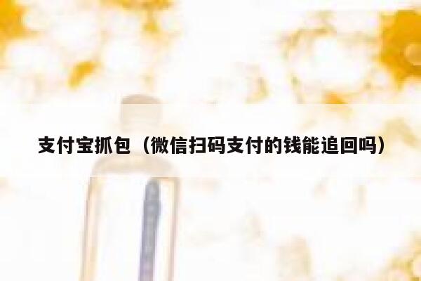 支付宝抓包（微信扫码支付的钱能追回吗） 第1张