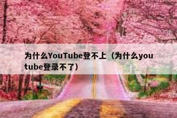 为什么YouTube登不上（为什么youtube登录不了） 第1张