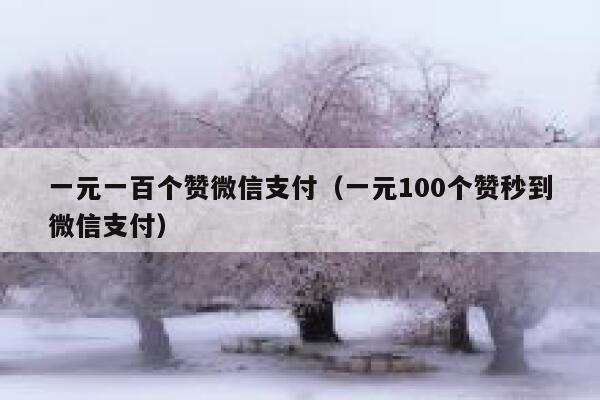 一元一百个赞微信支付（一元100个赞秒到微信支付） 第1张