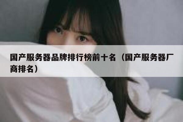 国产服务器品牌排行榜前十名（国产服务器厂商排名） 第1张