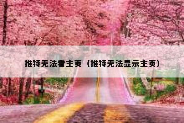 推特无法看主页（推特无法显示主页） 第1张