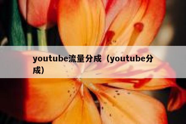 youtube流量分成（youtube分成） 第1张