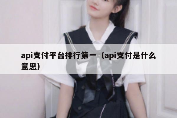 api支付平台排行第一（api支付是什么意思） 第1张