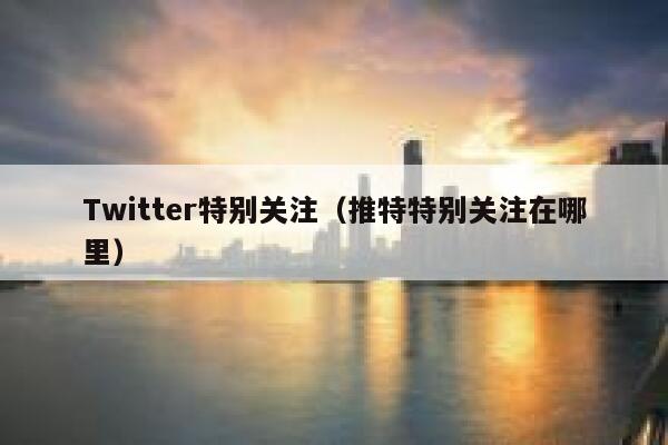 Twitter特别关注（推特特别关注在哪里） 第1张