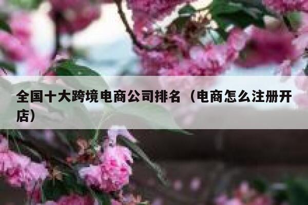 全国十大跨境电商公司排名（电商怎么注册开店） 第1张