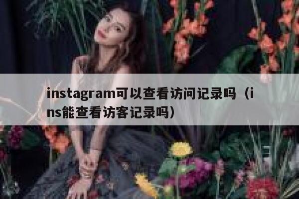 instagram可以查看访问记录吗（ins能查看访客记录吗） 第1张
