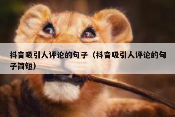 抖音吸引人评论的句子（抖音吸引人评论的句子简短） 第1张