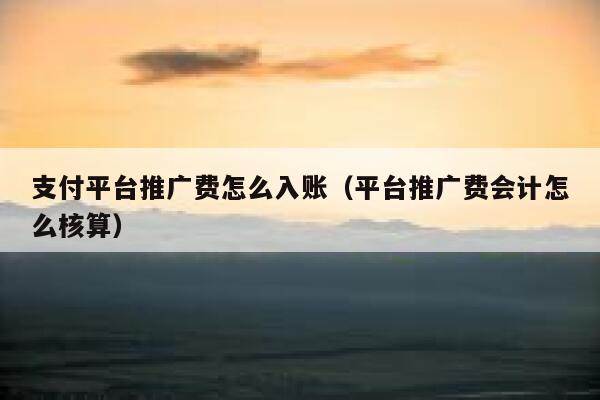 支付平台推广费怎么入账（平台推广费会计怎么核算） 第1张