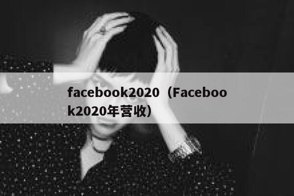 facebook2020（Facebook2020年营收） 第1张