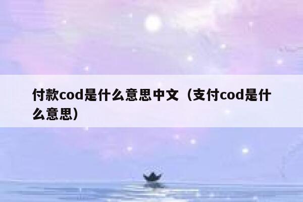 付款cod是什么意思中文（支付cod是什么意思） 第1张