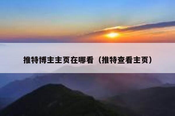 推特博主主页在哪看（推特查看主页） 第1张