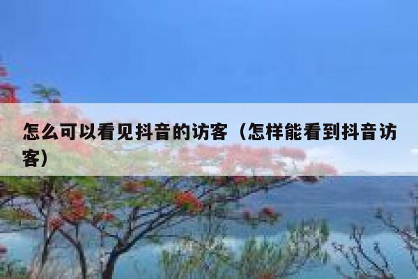 怎么可以看见抖音的访客（怎样能看到抖音访客） 第1张