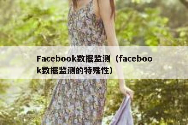 Facebook数据监测（facebook数据监测的特殊性） 第1张