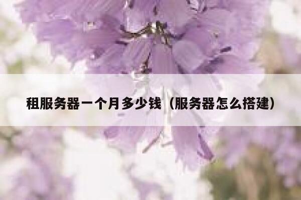 租服务器一个月多少钱（服务器怎么搭建） 第1张