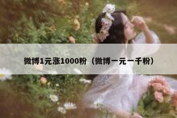 微博1元涨1000粉（微博一元一千粉） 第1张