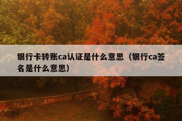 银行卡转账ca认证是什么意思（银行ca签名是什么意思） 第1张