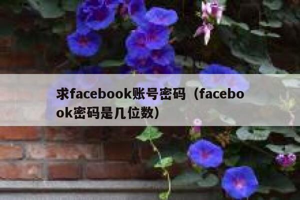 求facebook账号密码（facebook密码是几位数） 第1张
