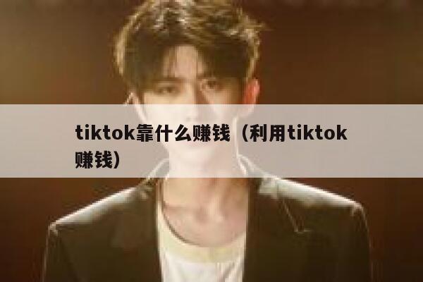 tiktok靠什么赚钱（利用tiktok赚钱） 第1张