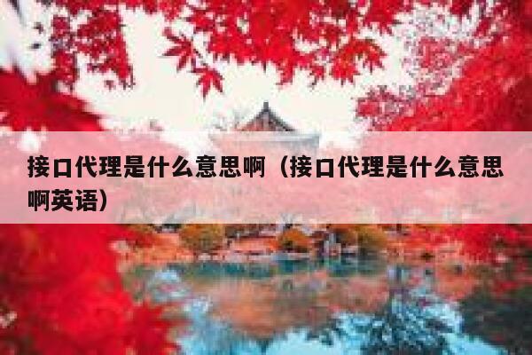 接口代理是什么意思啊（接口代理是什么意思啊英语） 第1张