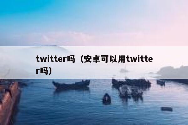 twitter吗（安卓可以用twitter吗） 第1张