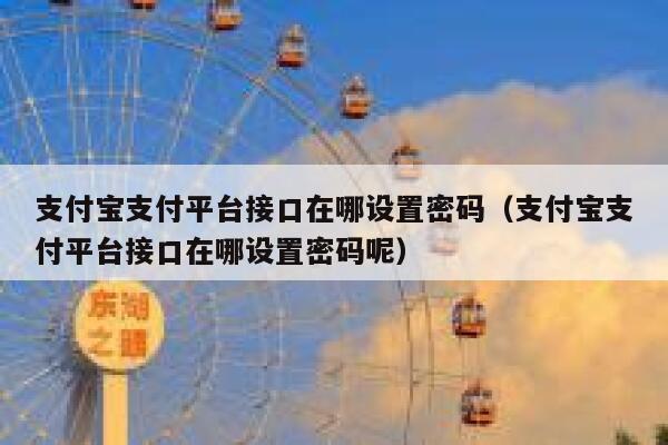 支付宝支付平台接口在哪设置密码（支付宝支付平台接口在哪设置密码呢） 第1张