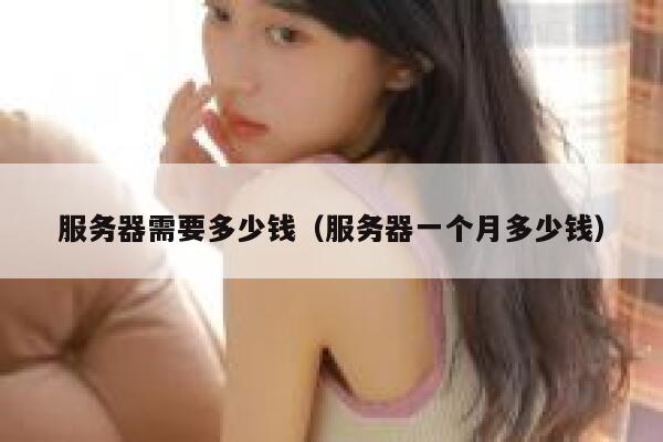 服务器需要多少钱（服务器一个月多少钱） 第1张