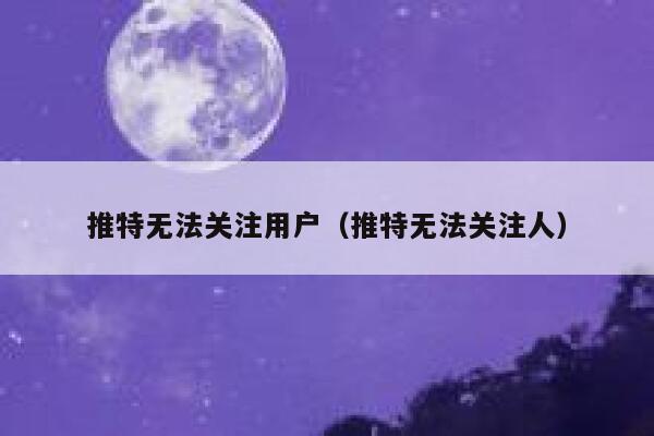 推特无法关注用户（推特无法关注人） 第1张