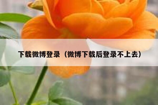 下载微博登录（微博下载后登录不上去） 第1张