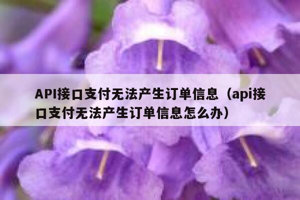 API接口支付无法产生订单信息（api接口支付无法产生订单信息怎么办） 第1张
