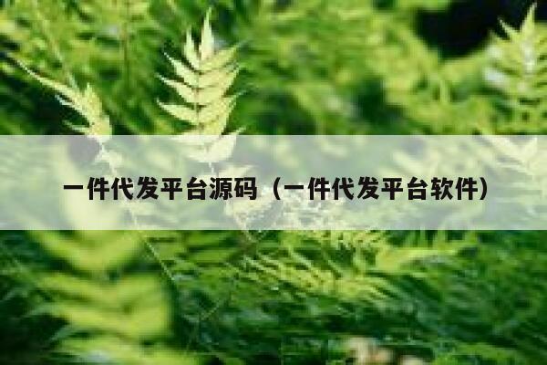 一件代发平台源码（一件代发平台软件） 第1张