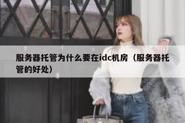 服务器托管为什么要在idc机房（服务器托管的好处） 第1张
