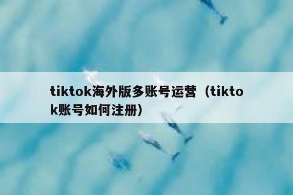 tiktok海外版多账号运营（tiktok账号如何注册） 第1张