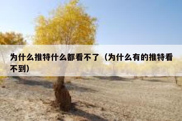 为什么推特什么都看不了（为什么有的推特看不到） 第1张