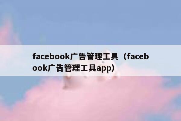 facebook广告管理工具（facebook广告管理工具app） 第1张