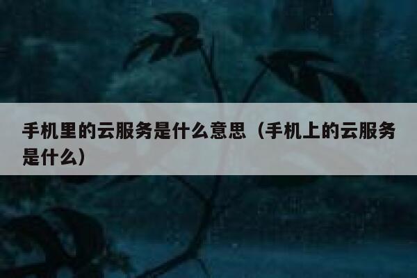 手机里的云服务是什么意思（手机上的云服务是什么） 第1张
